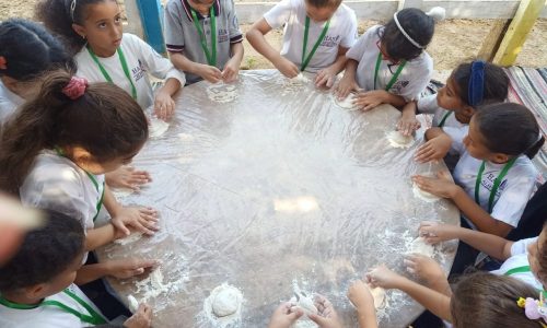 398372567_852412550012916_8745063197435184148_n 398372567_852412550012916_8745063197435184148_n