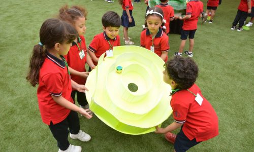 DSC_9012 (3) DSC_9012 (3)