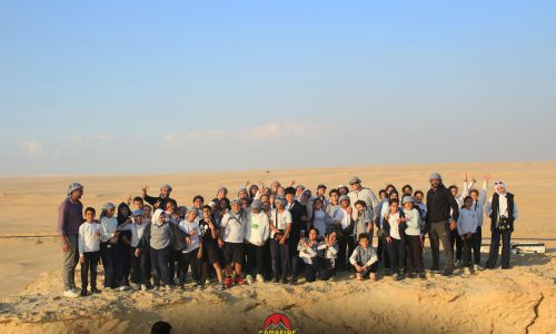 IMG_0895 copy IMG_0895 copy