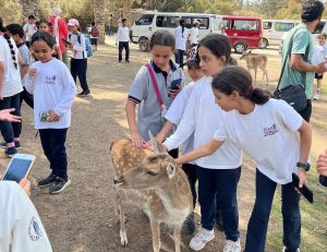 Adobe Express - file (10)