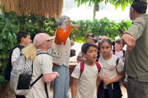 Adobe Express - file (12)